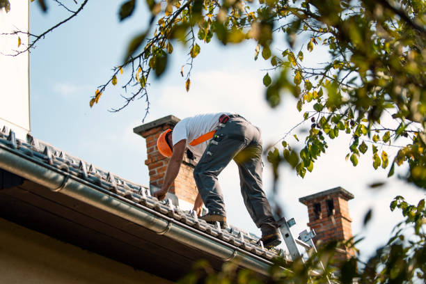 Roof Gutter Cleaning in Akron, NY